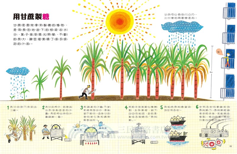 我的第一套食育安全知識繪本套書（共三冊）