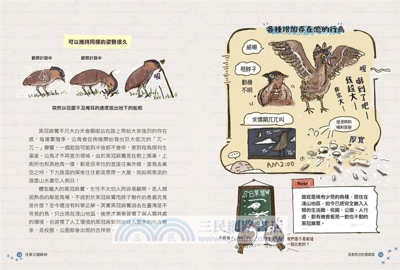 我家附近的鳥鄰居（首刷贈限量「跟著阿鏘賞鳥趣！」彩繪明信片組）：超搞笑又認真的鳥類圖鑑，觀察鳥兒們令人意想不到的日常