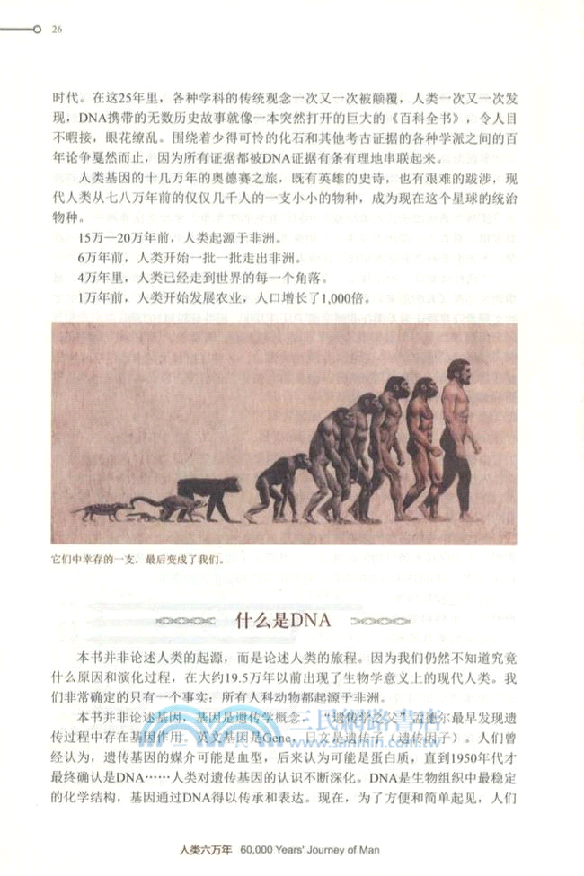 人類六萬年（簡體書）