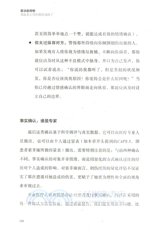 高功能抑鬱：看起來正常的我快崩潰了（簡體書）