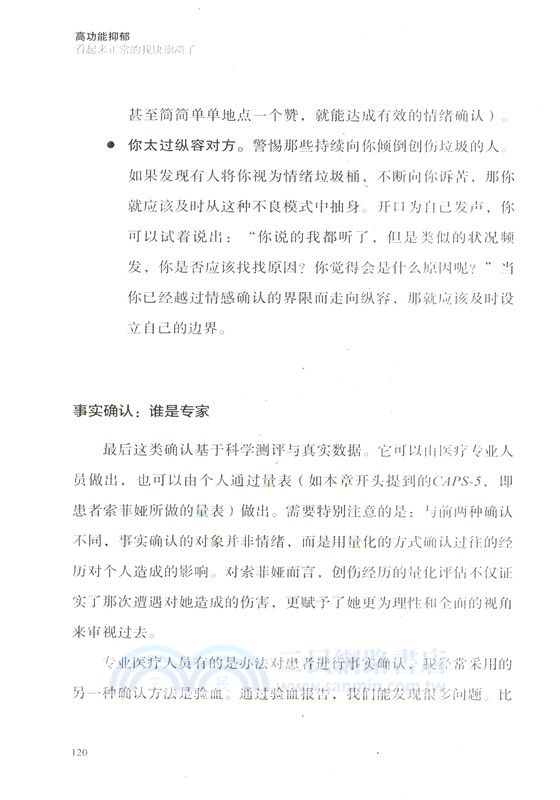 高功能抑鬱：看起來正常的我快崩潰了（簡體書）