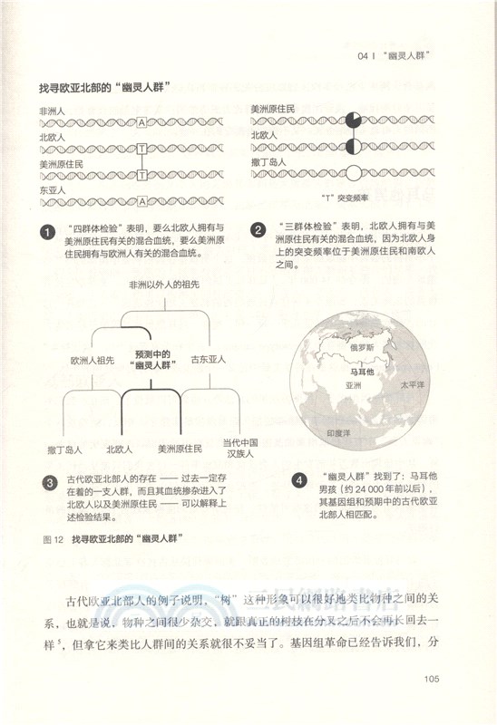 人類起源的故事（簡體書）