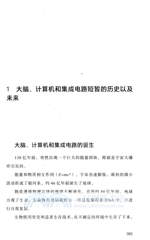 芯片的未來：制衡世界的技術（簡體書）