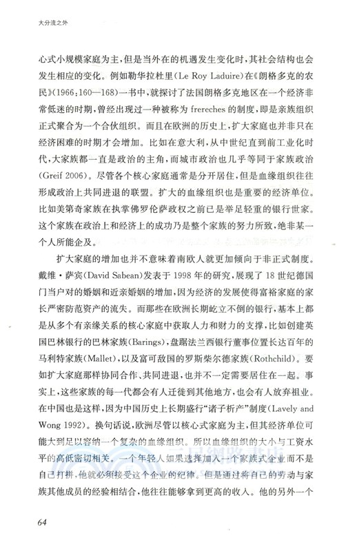 大分流之外：中國和歐洲經濟變遷的政治（簡體書）