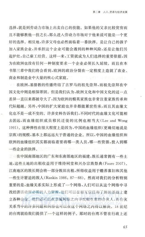 大分流之外：中國和歐洲經濟變遷的政治（簡體書）