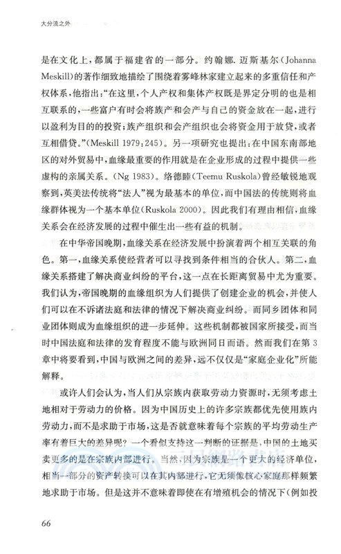 大分流之外：中國和歐洲經濟變遷的政治（簡體書）