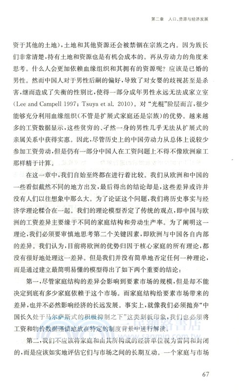 大分流之外：中國和歐洲經濟變遷的政治（簡體書）