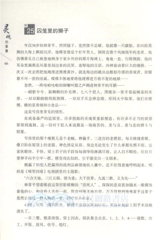 靈魂的重量（簡體書）