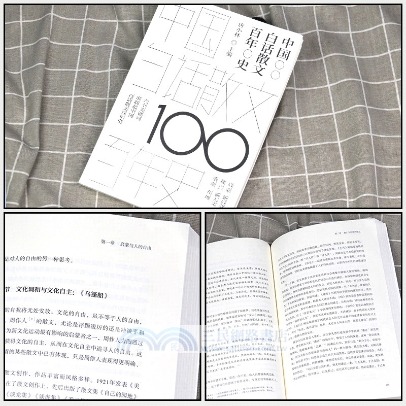 中國白話散文百年史（簡體書）