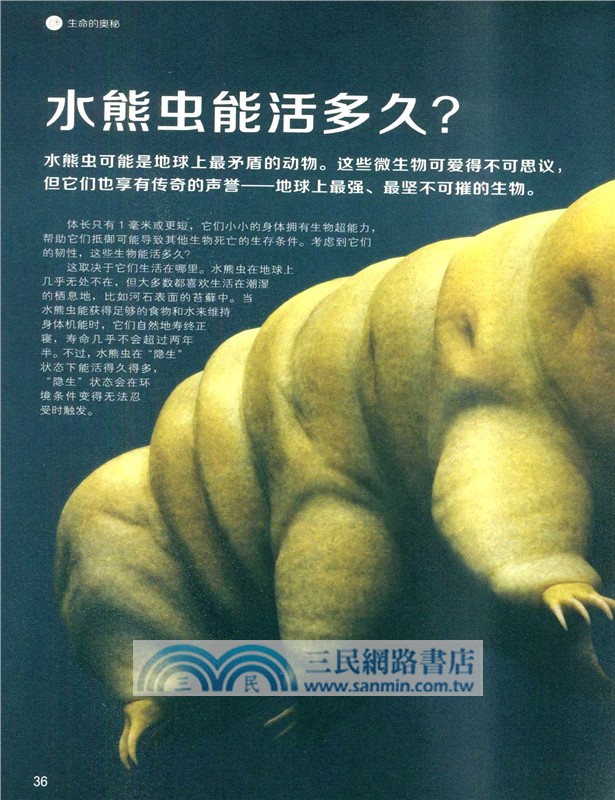 生命的奧秘Life（簡體書）