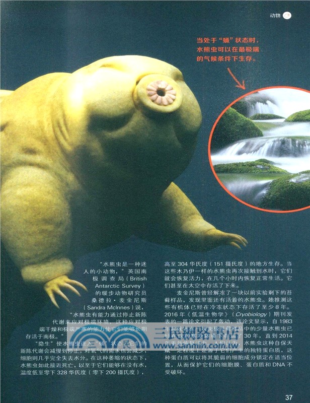 生命的奧秘Life（簡體書）