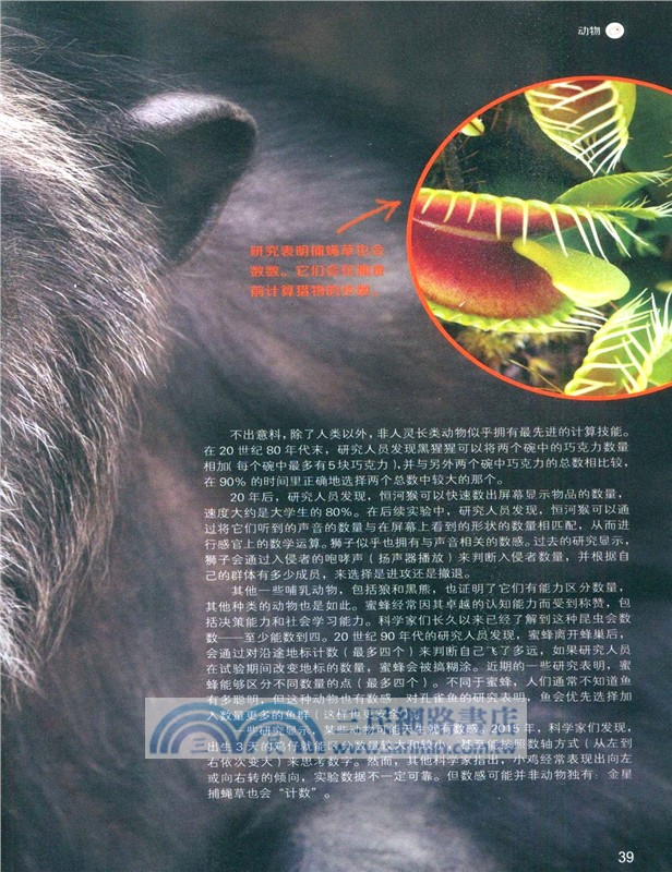 生命的奧秘Life（簡體書）