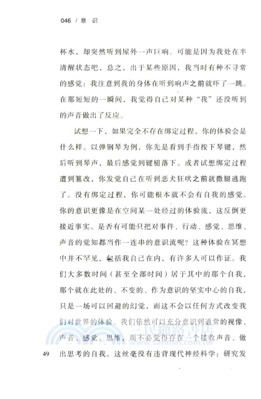 意識：心智的基本奧秘（簡體書）