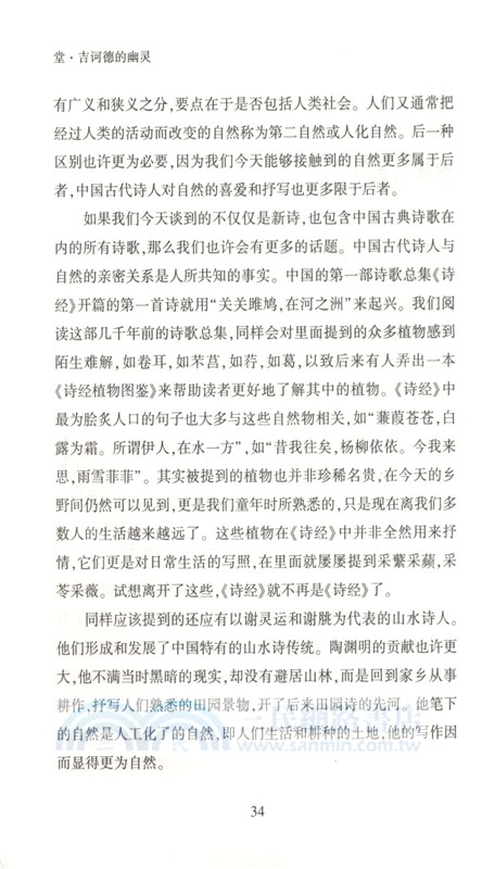 堂‧吉訶德的幽靈（簡體書）
