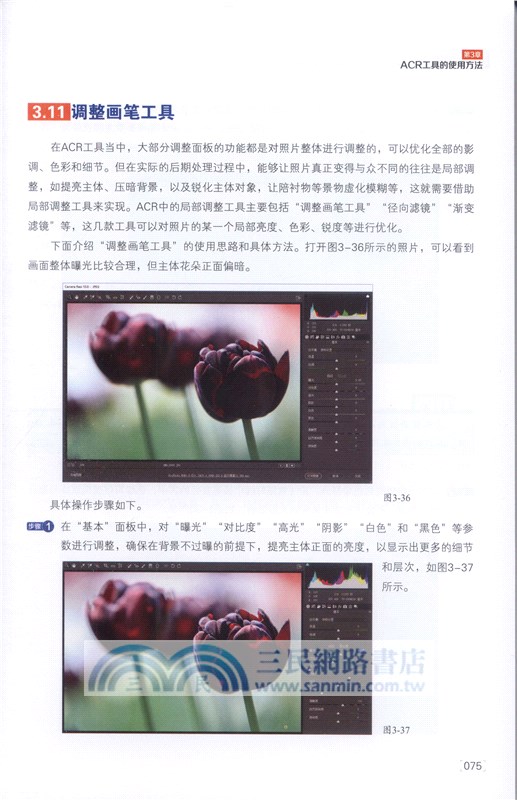 RAW格式人像、風光、靜物、紀實、建築攝影後期技法（簡體書）