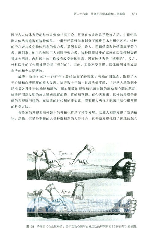 全球通史：從史前到21世紀(新譯本)(平裝本)下冊（簡體書）