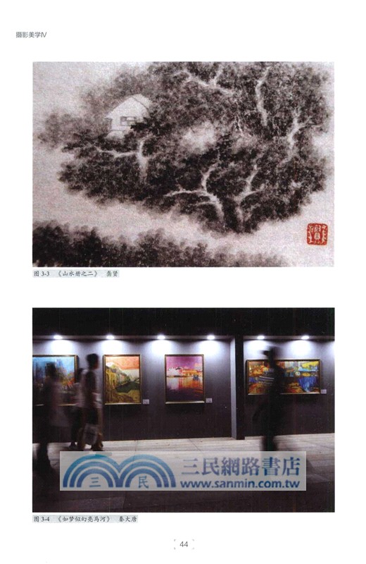 攝影美學Ⅳ（簡體書）
