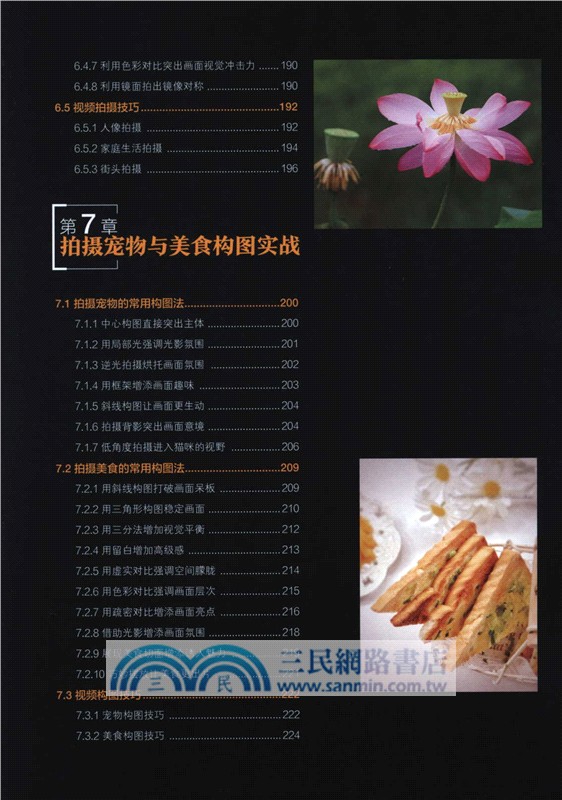 手機攝影與視頻拍攝從入門到精通(構圖篇)（簡體書）