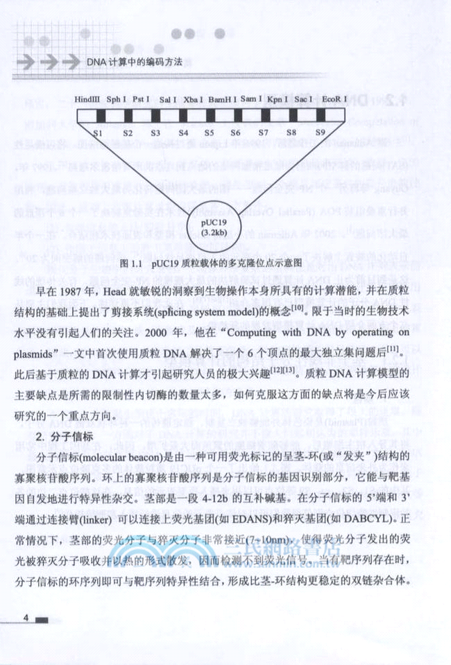 DNA計算中的編碼方法（簡體書）