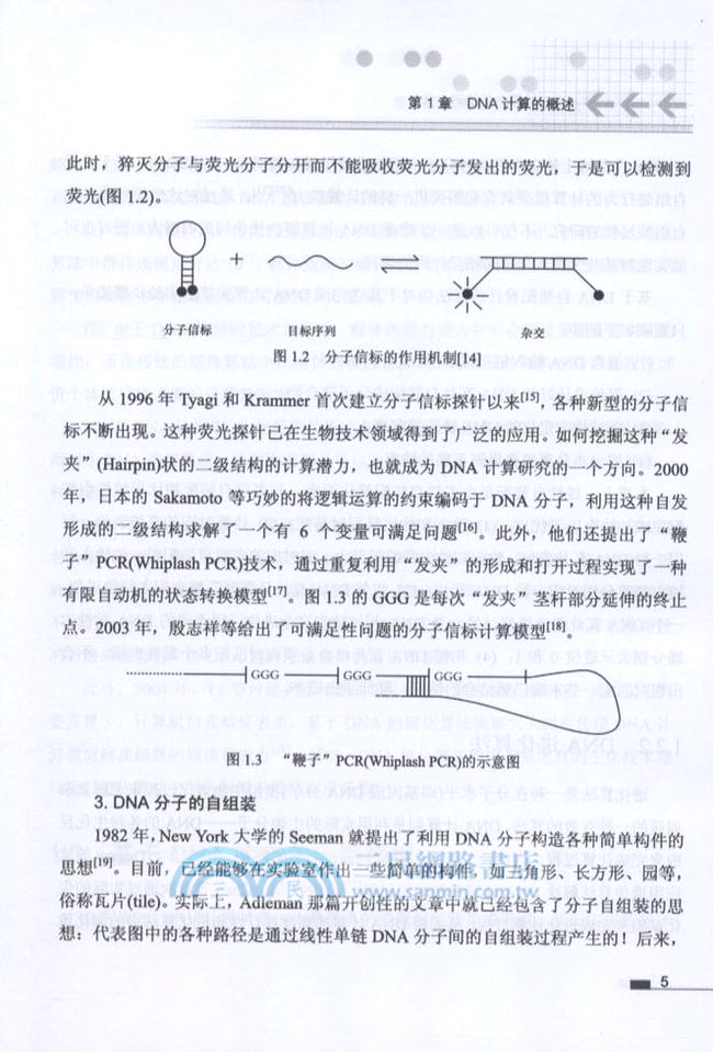DNA計算中的編碼方法（簡體書）