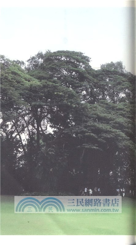 善治：新加坡微觀察（簡體書）