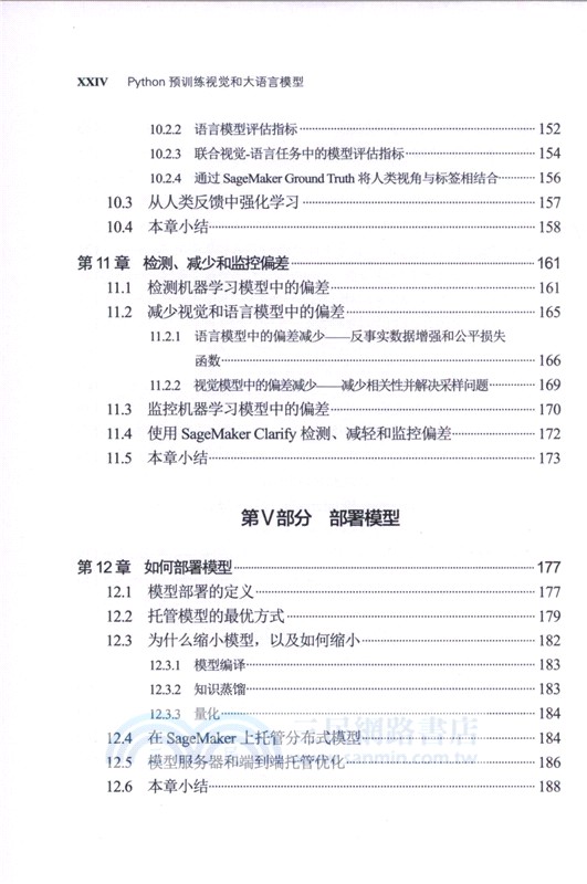 Python預訓練視覺和大語言模型（簡體書）