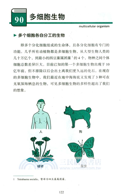 給孩子講進化論（簡體書）