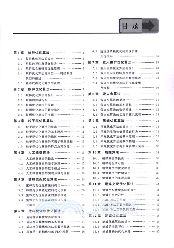 智能算法原理與實現：群智能優化算法（簡體書）