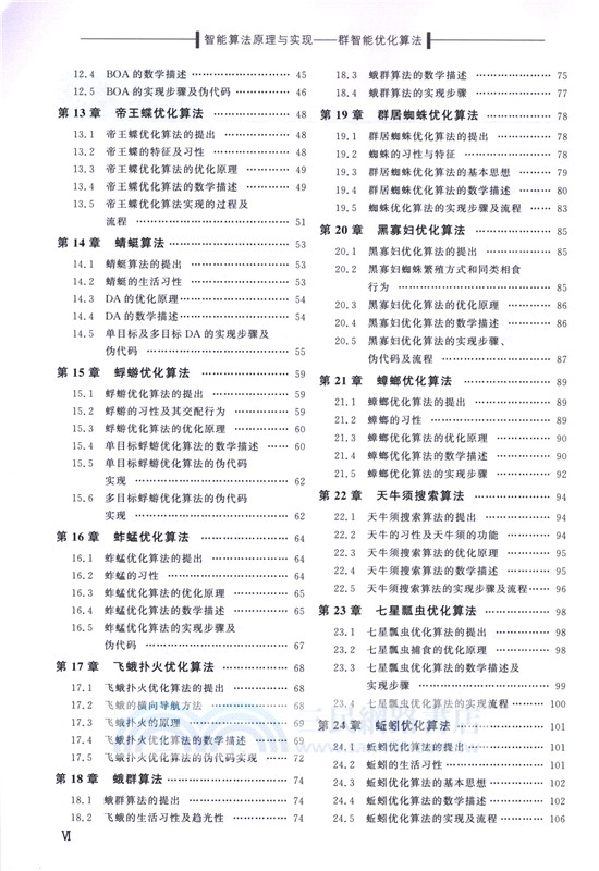 智能算法原理與實現：群智能優化算法（簡體書）