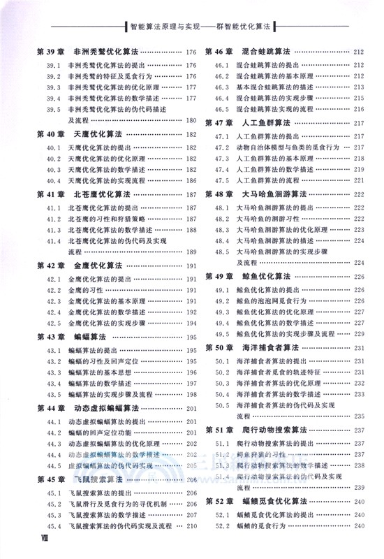 智能算法原理與實現：群智能優化算法（簡體書）
