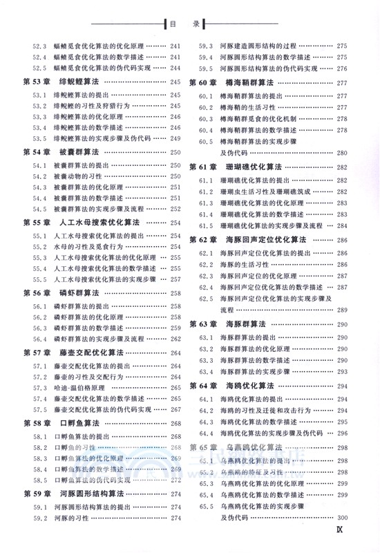 智能算法原理與實現：群智能優化算法（簡體書）