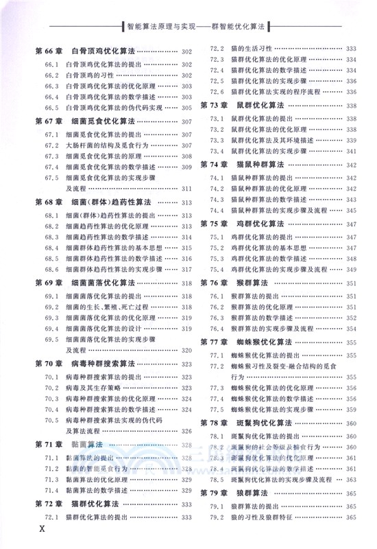 智能算法原理與實現：群智能優化算法（簡體書）