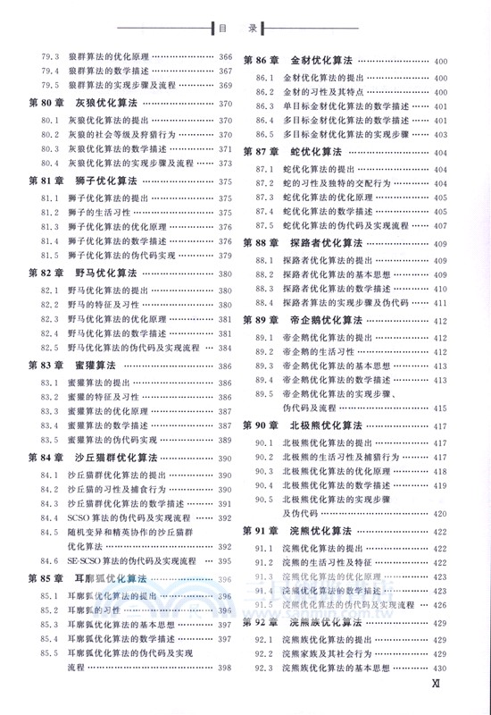 智能算法原理與實現：群智能優化算法（簡體書）