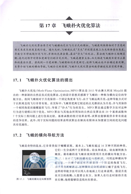 智能算法原理與實現：群智能優化算法（簡體書）