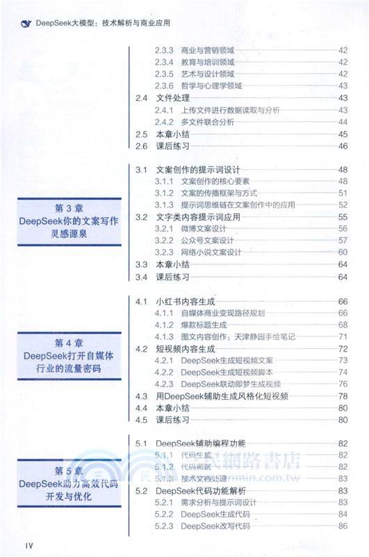 DeepSeek大模型：技術解析與商業應用（簡體書）