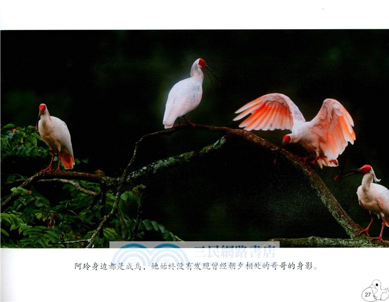 朱鹮的傳說（簡體書）