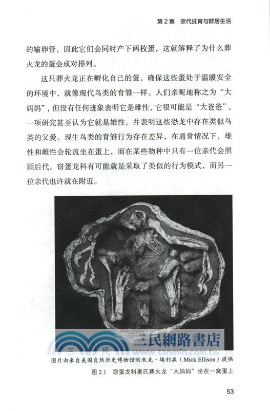 塵封在時間裡的生命：探索隱藏在50件化石中的動物故事（簡體書）