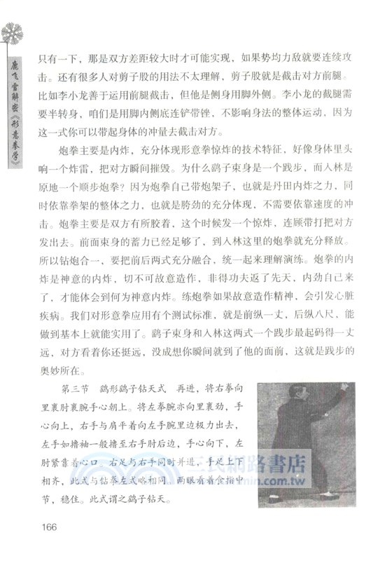 鹿飛雪解密《形意拳學》（簡體書）