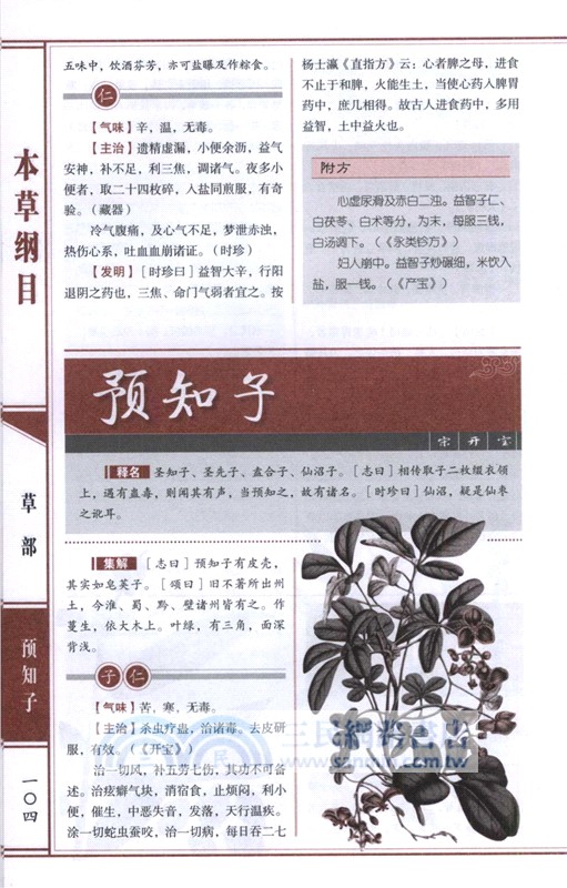 本草綱目（簡體書）