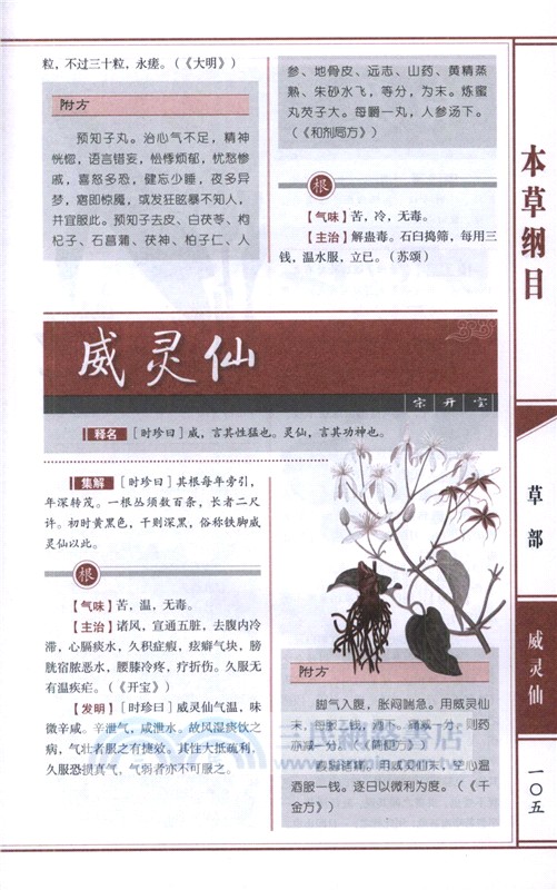 本草綱目（簡體書）