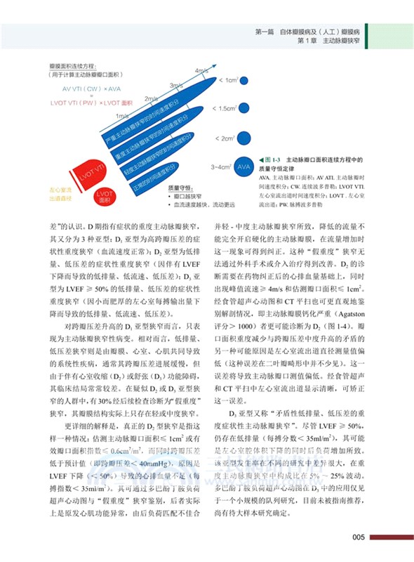 心臟瓣膜病臨床指南（簡體書）