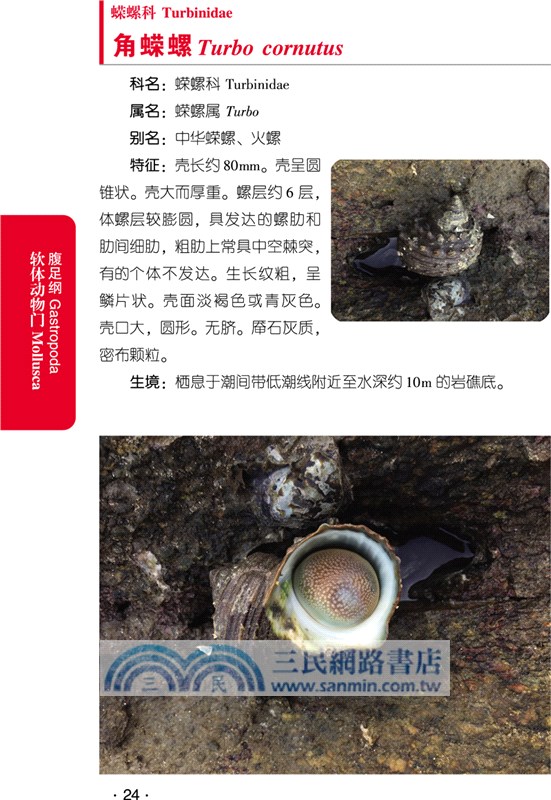 海口濕地：濱海濕地常見大型底棲動物（簡體書）
