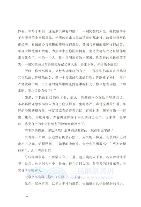 誰在銀閃閃的地方，等你（簡體書）