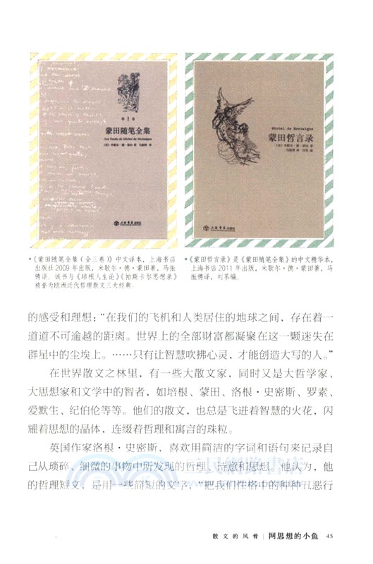 散文的風骨：網思想的小魚（簡體書）