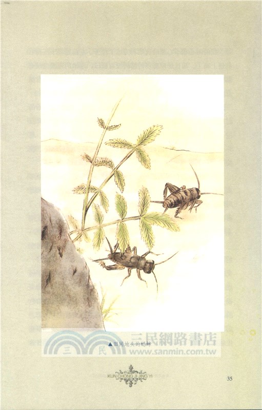 昆蟲記精譯（簡體書）