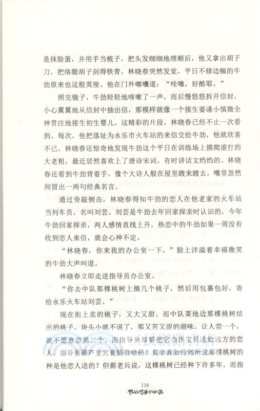我的兄弟我的兵（簡體書）