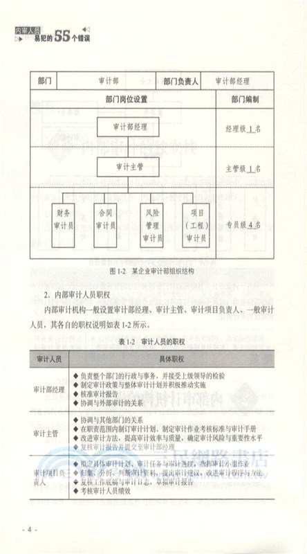 內審人員易犯的55個錯誤（簡體書）