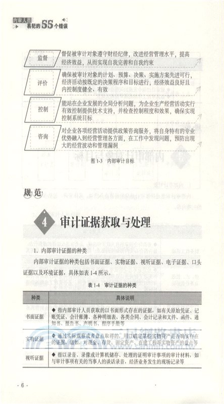 內審人員易犯的55個錯誤（簡體書）