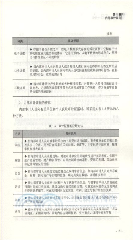 內審人員易犯的55個錯誤（簡體書）