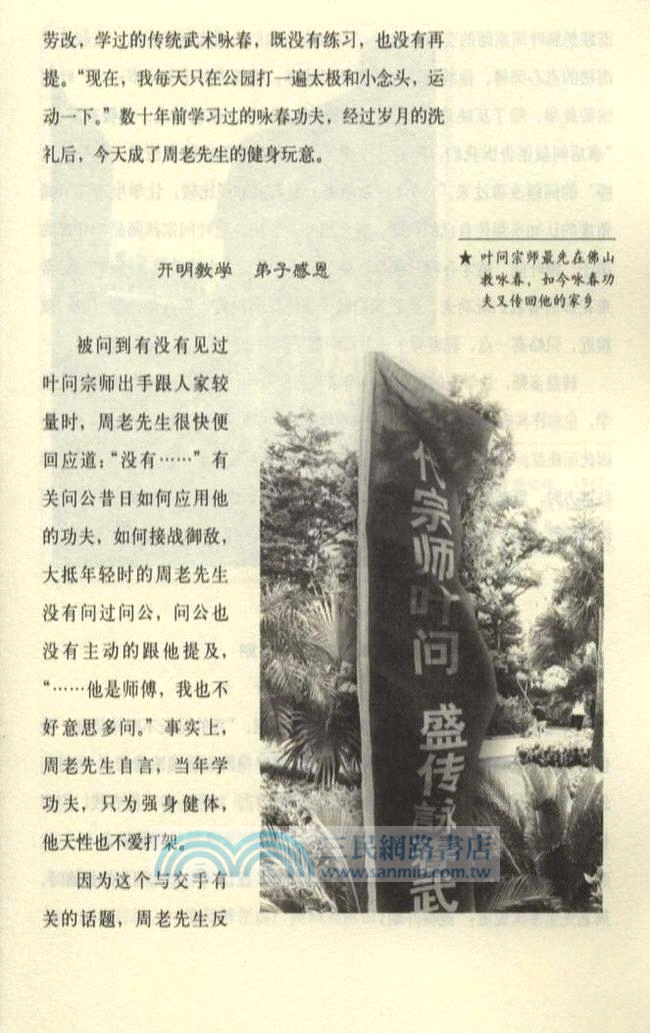 葉問（簡體書）